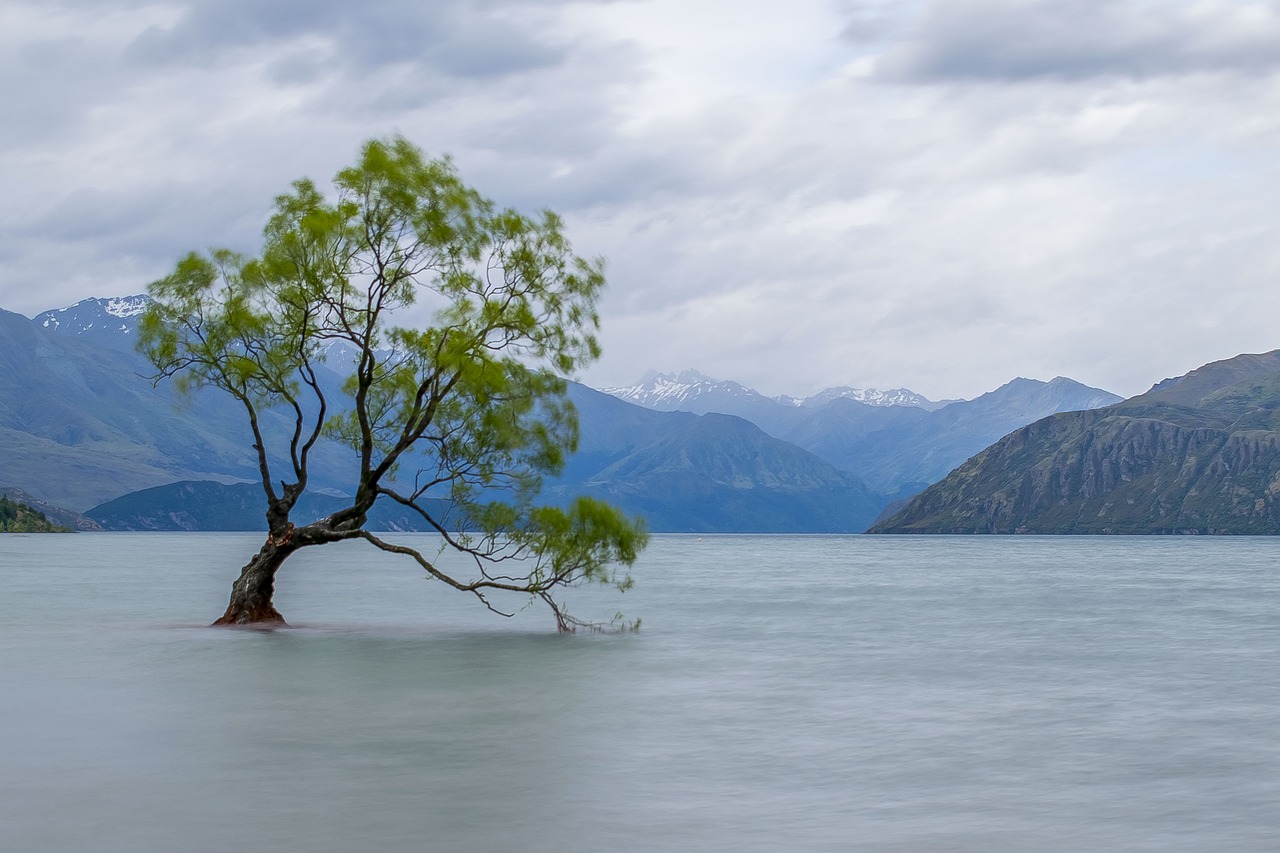 Wanaka