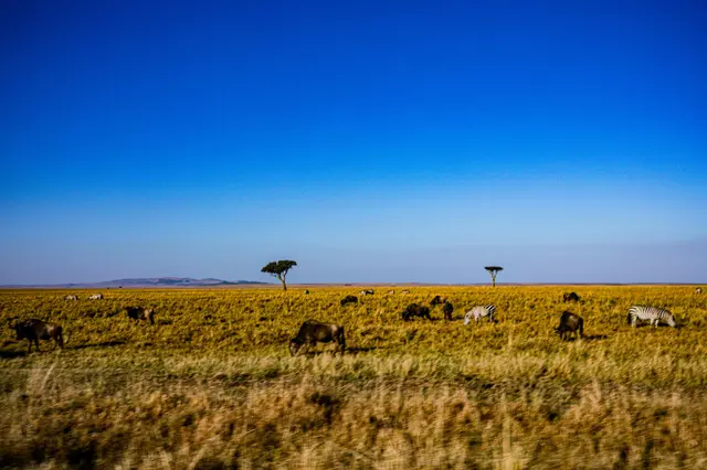 Mozambique