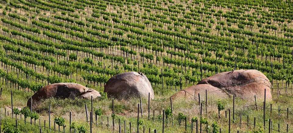 Bruma Wine Resort — 1
