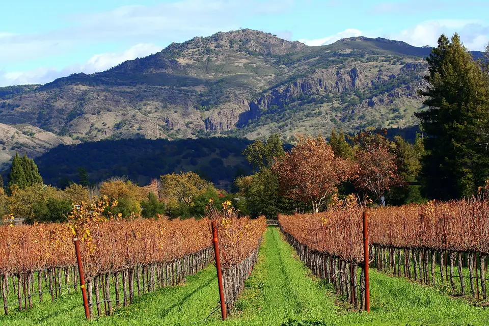 Montage Healdsburg — 1