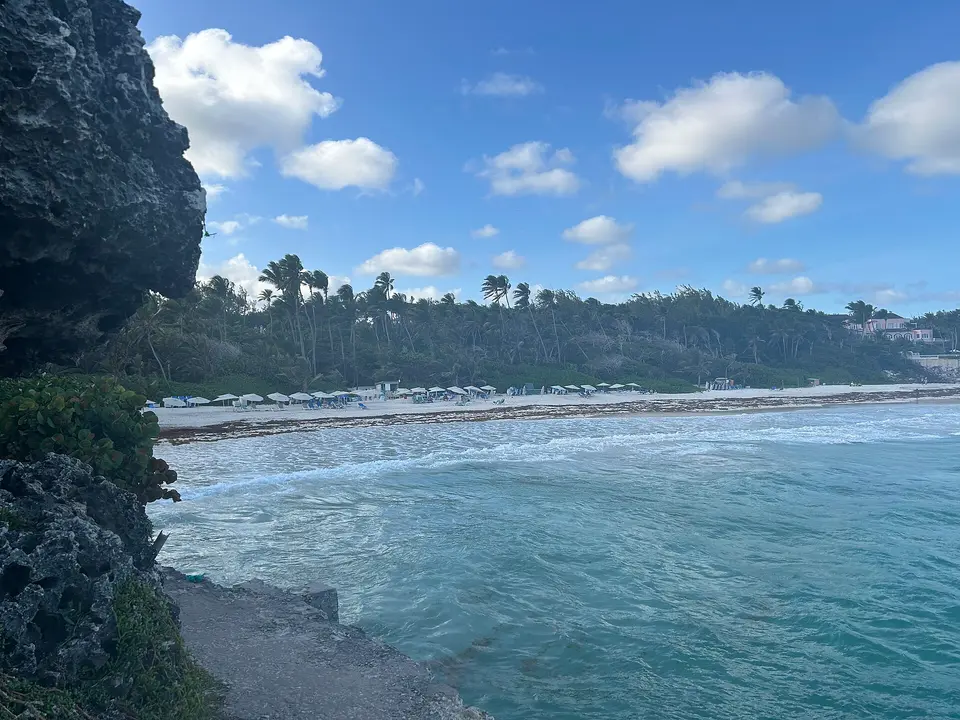 The Crane Resort — 1