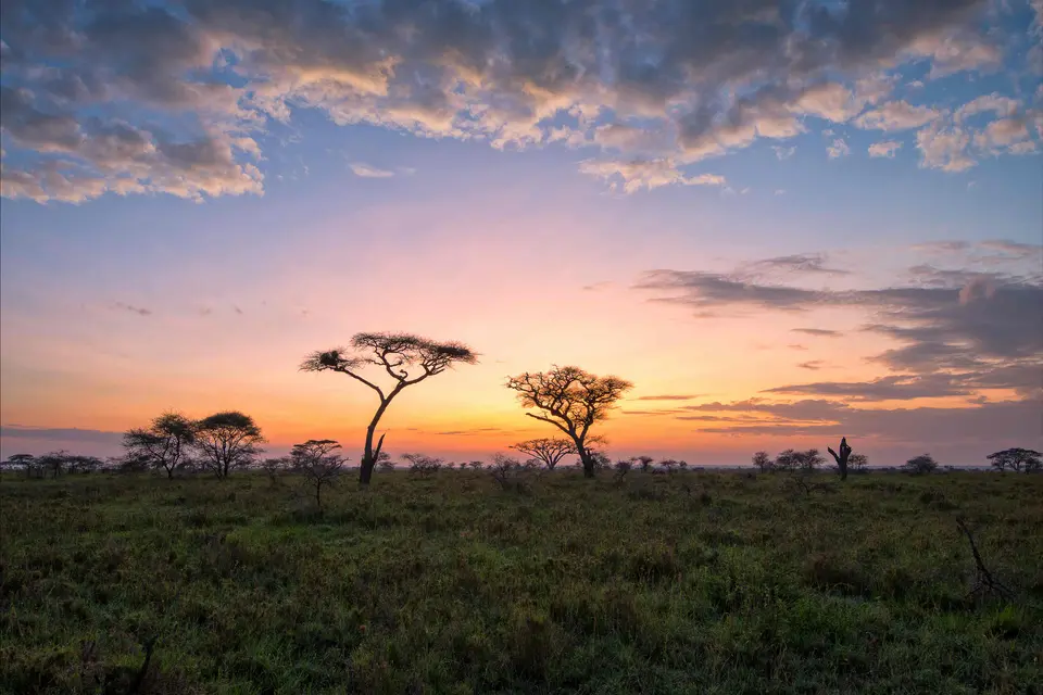Africa landscape